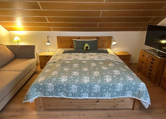 Shumiland In Frankfurt Near Messe, Airport