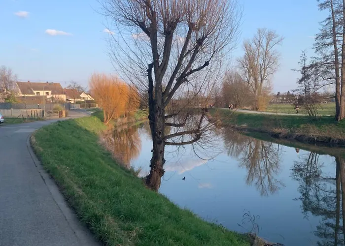 Shumiland In Frankfurt Near Messe, Airport *