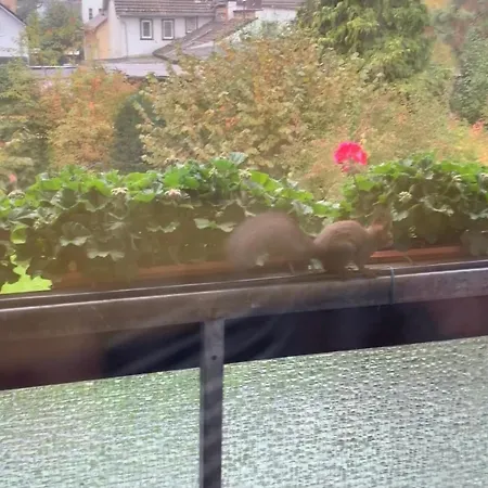 Shumiland In Frankfurt Near Messe, Airport 프랑크푸르트