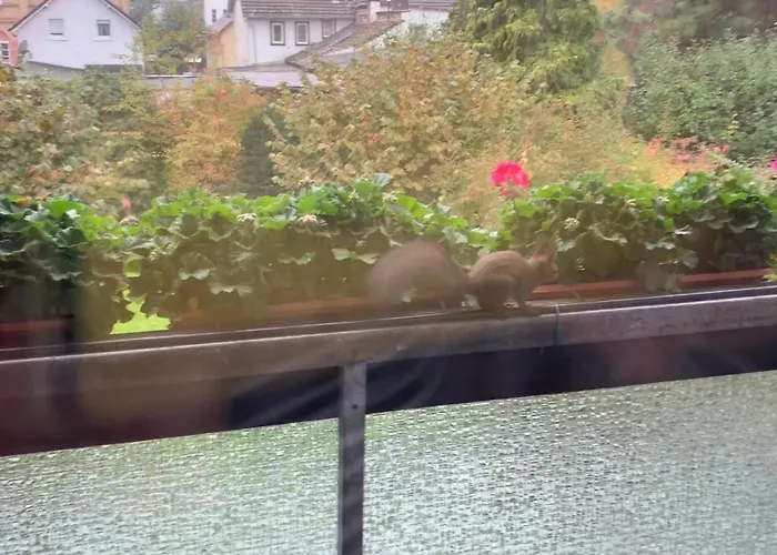 Shumiland In Frankfurt Near Messe, Airport 프랑크푸르트